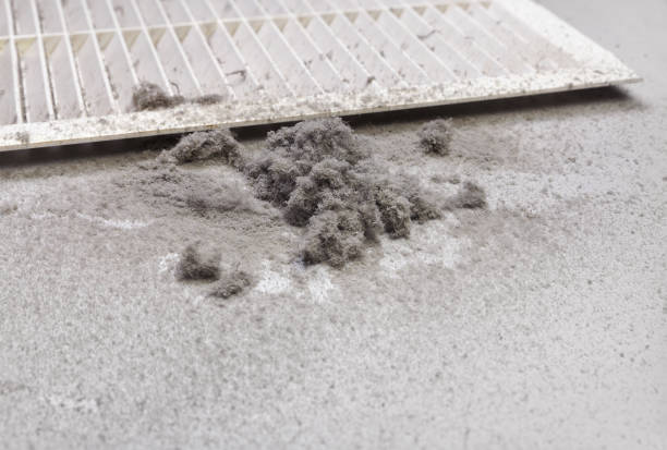 Best Air Duct Cleaning Near Me  in Francisville, KY