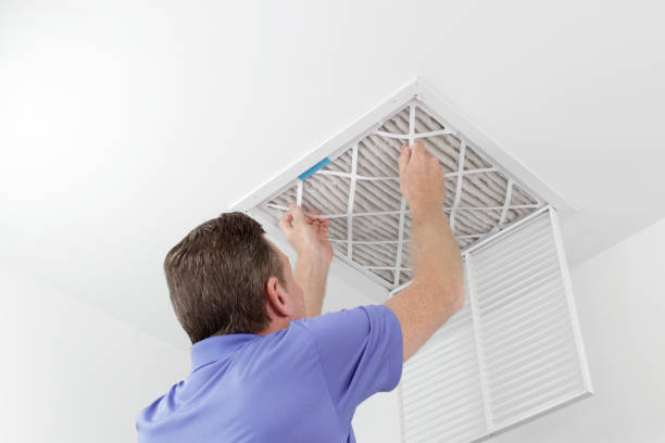 Best Home Air Vent Cleaning  in Francisville, KY